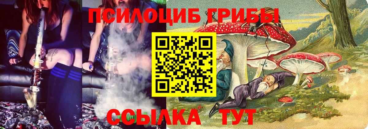 Галлюциногенные грибы Cubensis Ноябрьск
