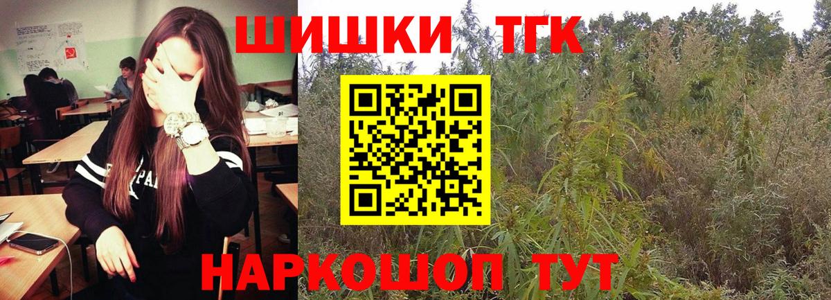 Бошки Шишки семена  Конопля VHQ  Вход с VPN  Ноябрьск 